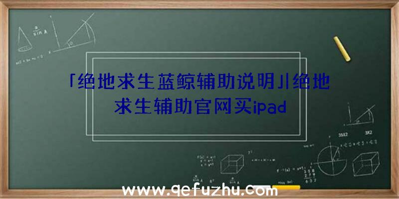 「绝地求生蓝鲸辅助说明」|绝地求生辅助官网买ipad